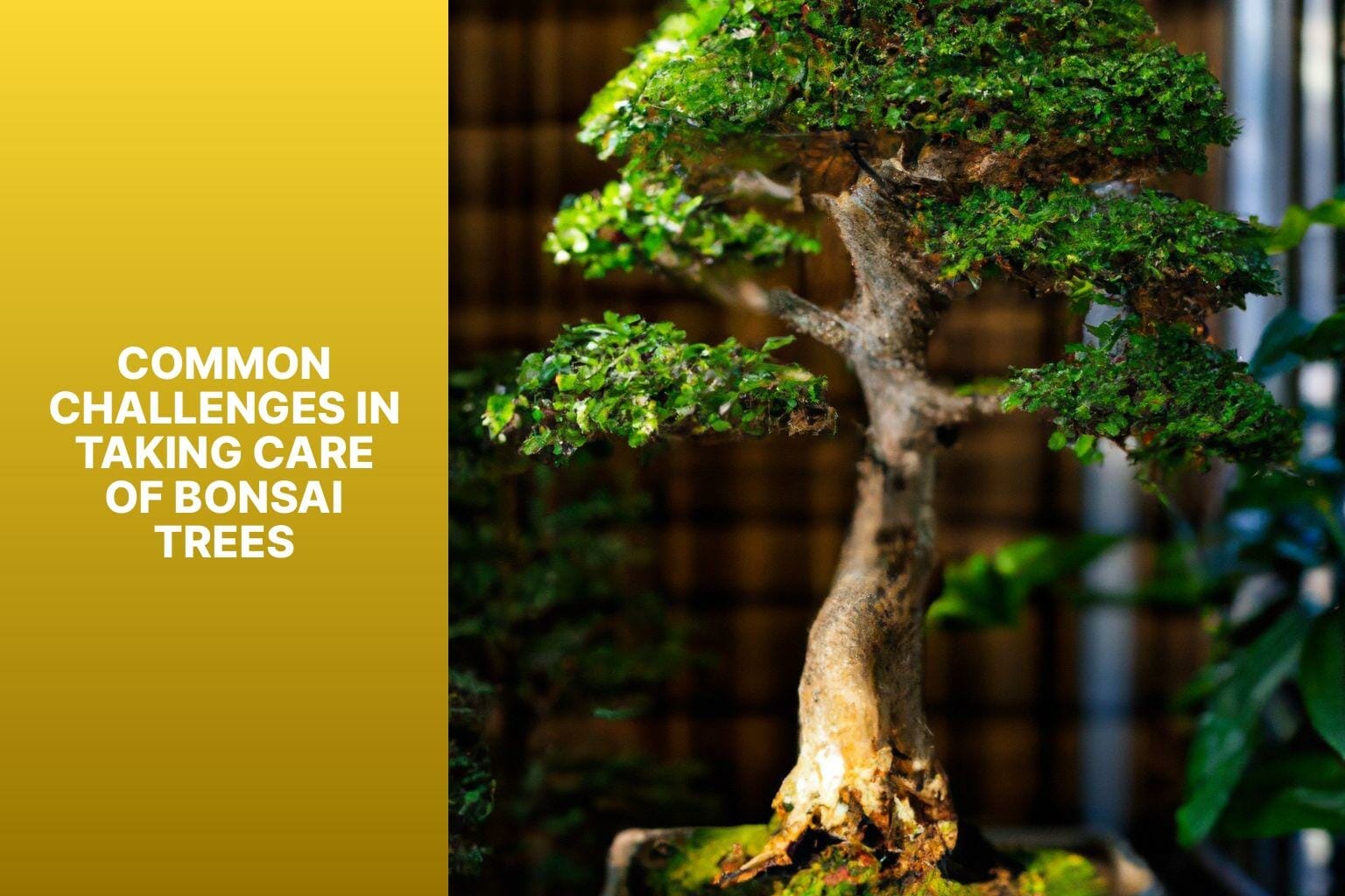 Common Challenges in Taking Care of Bonsai Trees - are bonsai trees easy to take care of 