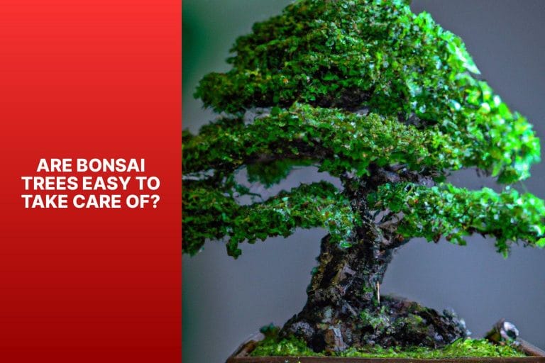 Are Bonsai Trees Easy to Take Care Of? - are bonsai trees easy to take care of 