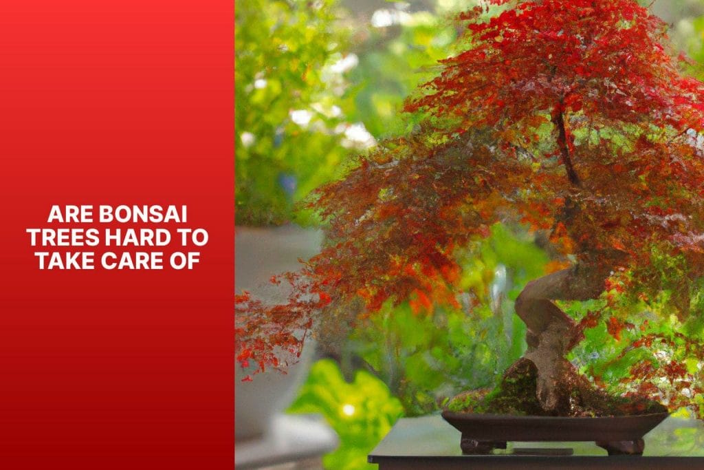 Are Bonsai Trees Hard to Take Care of?