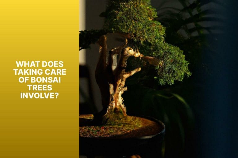 What Does Taking Care of Bonsai Trees Involve? - are bonsai trees hard to take care of 