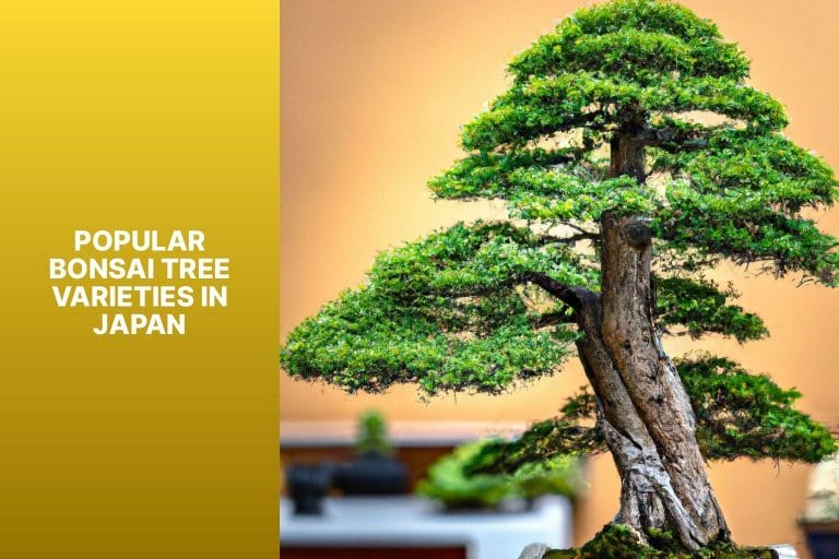 Popular Bonsai Tree Varieties in Japan - are bonsai trees japanese 