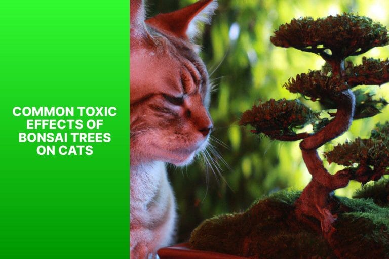 Common Toxic Effects of Bonsai Trees on Cats - are bonsai trees poisonous to cats 