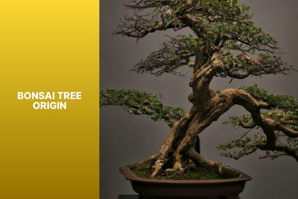 Origin of Bonsai tree.