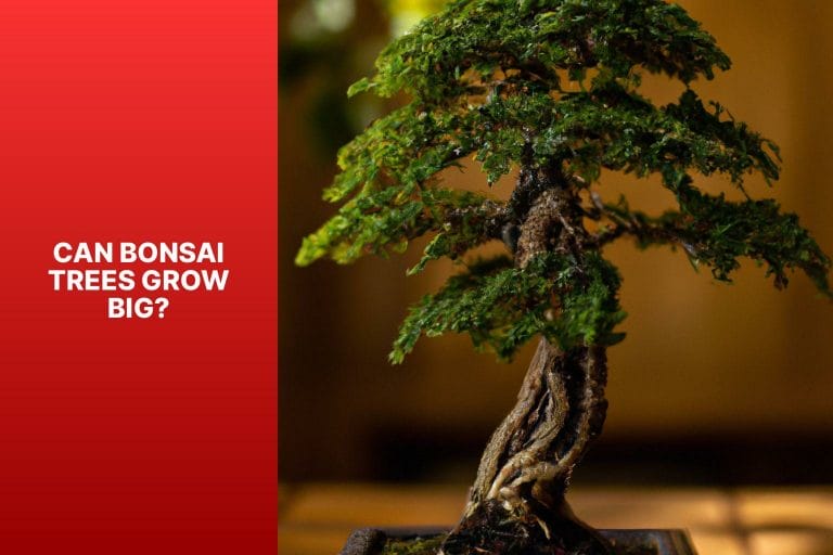 Can Bonsai Trees Grow Big? - can bonsai trees grow big 