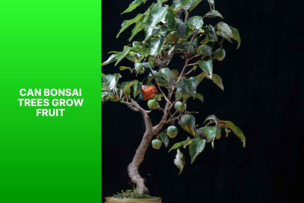 Can Bonsai Trees Grow Fruit? Discover Here
