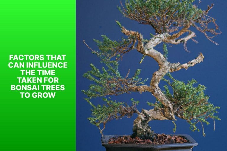 Factors That Can Influence the Time Taken for Bonsai Trees to Grow - how long does bonsai tree take to grow 