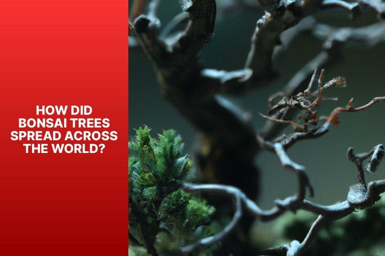 How Did Bonsai Trees Spread Across the World? - where did bonsai tree originate 