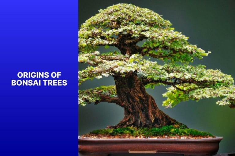 Origins of Bonsai Trees - where is bonsai tree from 