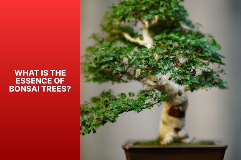 What is the Essence of Bonsai Trees? - why are bonsai trees so small 