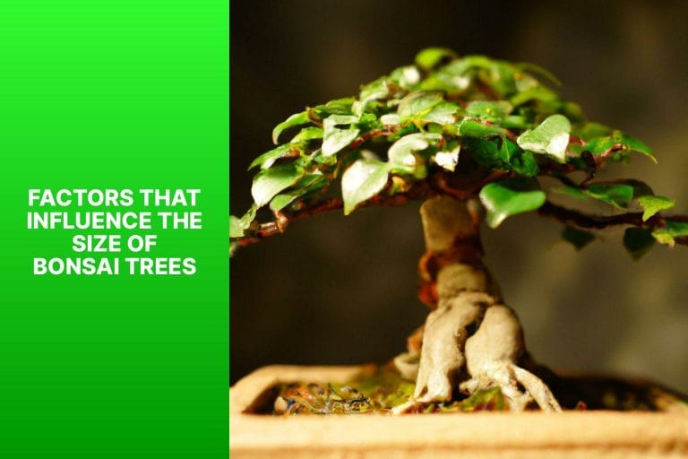 Factors That Influence the Size of Bonsai Trees - why are bonsai trees so small 